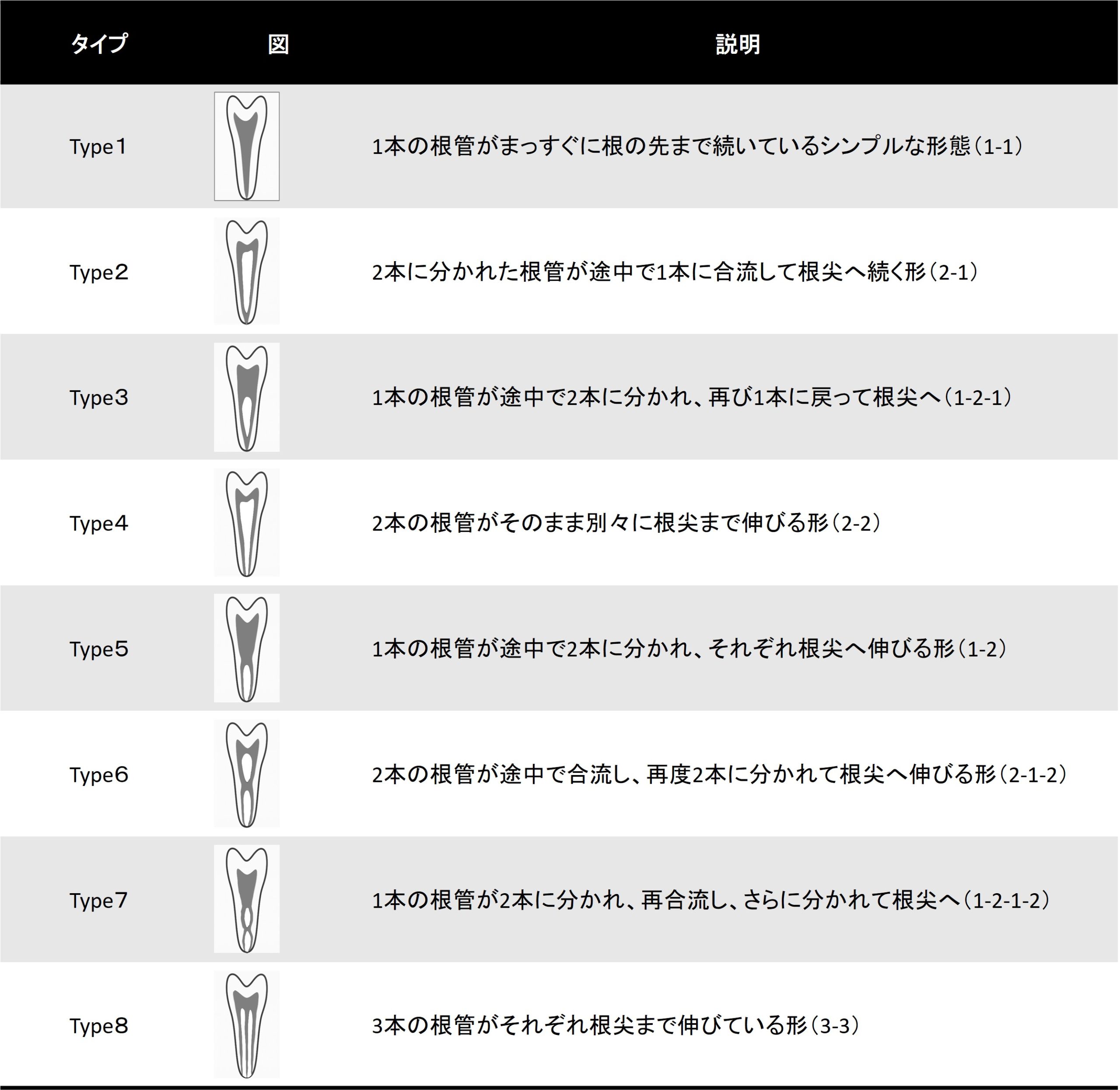 根管形態の分類図。Type1～Type8までの8種類の形態が図と説明付きで示されており、分岐や合流のパターンの違いがわかる